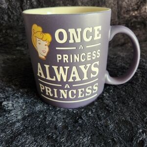 Disney parks cinderella once a princess always a princess